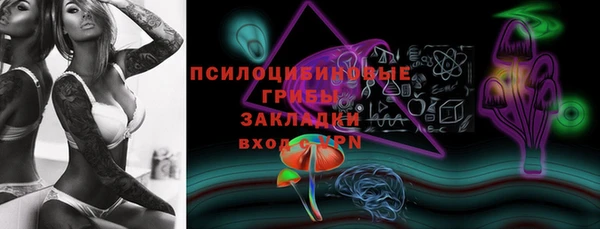 эйфоретик Алзамай