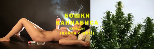 шишки Заволжск