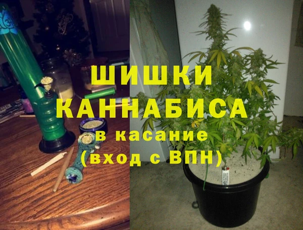 a pvp Аркадак