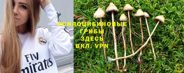 каннабис Арсеньев