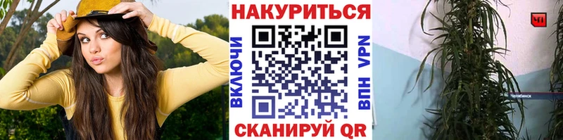 купить наркотик  Дно  Шишки марихуана Ganja 